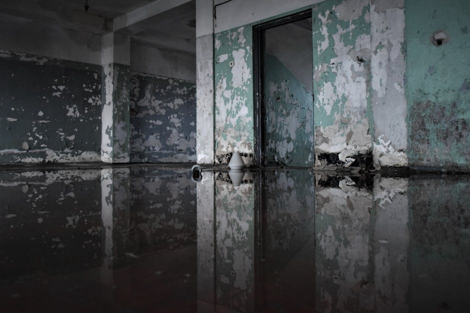 fort myers mold damage lawyer