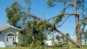 storm damage insurance claims