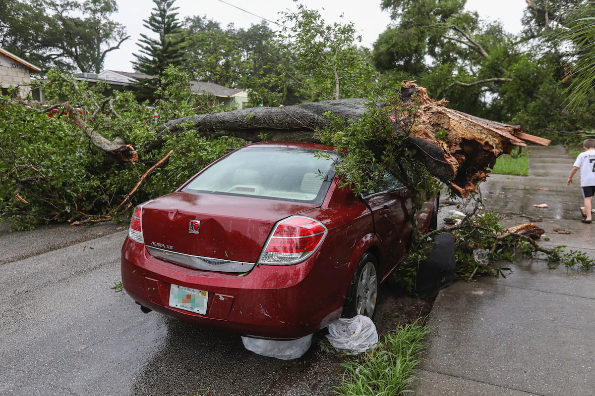 Dealing with the Aftermath of a Storm Damage in Florida