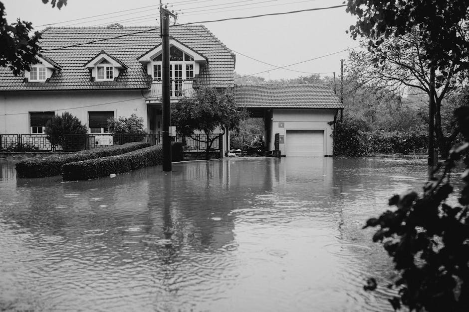 Florida Flood Damage Lawyers: How to Choose the Right One