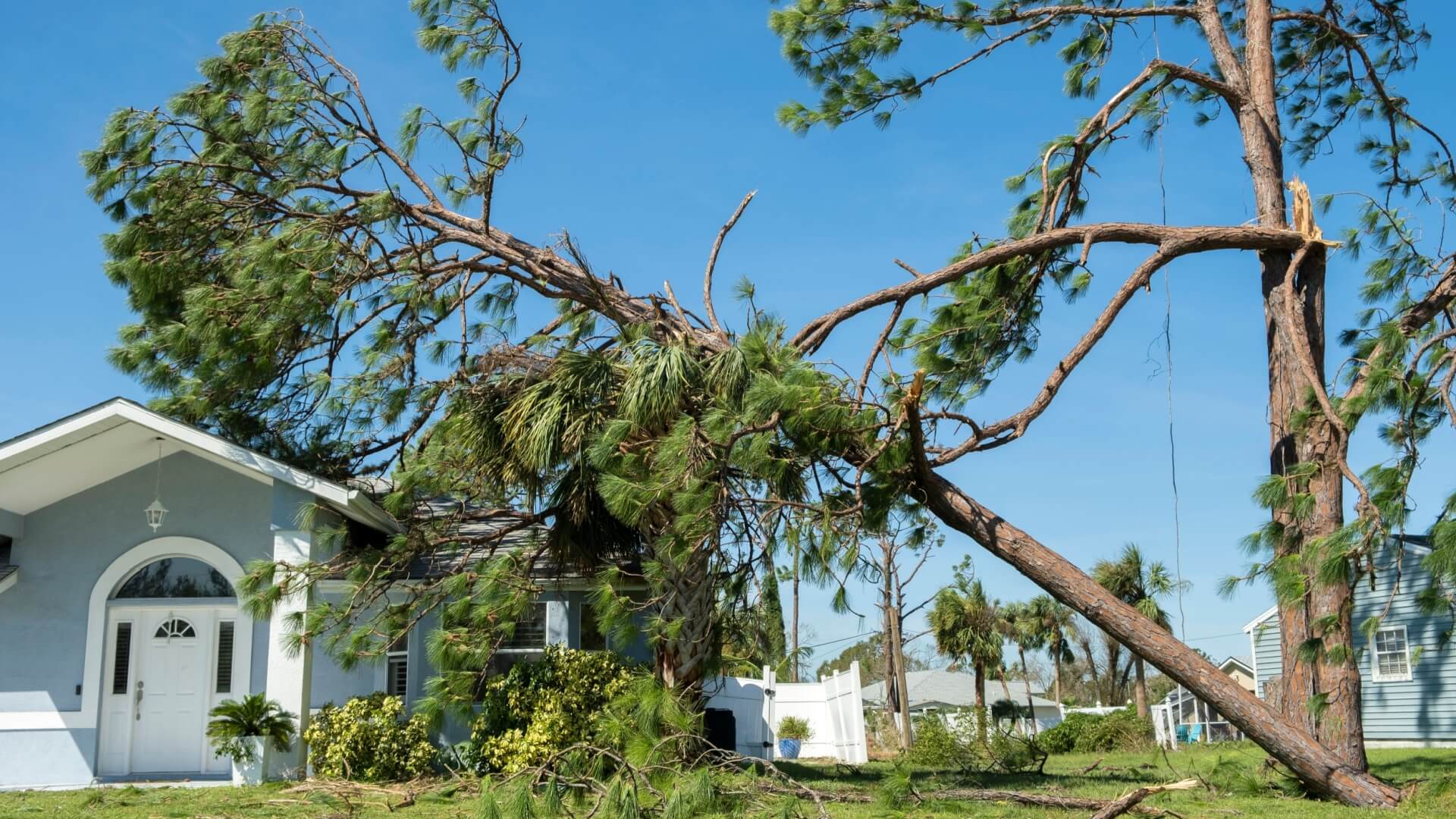 Your Step-by-Step Guide to Storm Damage Insurance Claims