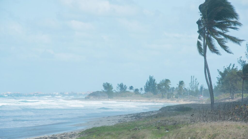 hurricanes vs. tropical storms
