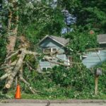 Dangerous,Fallen,Tree,Branch,In,Residential,Neighborhood,Caused,By,Storm