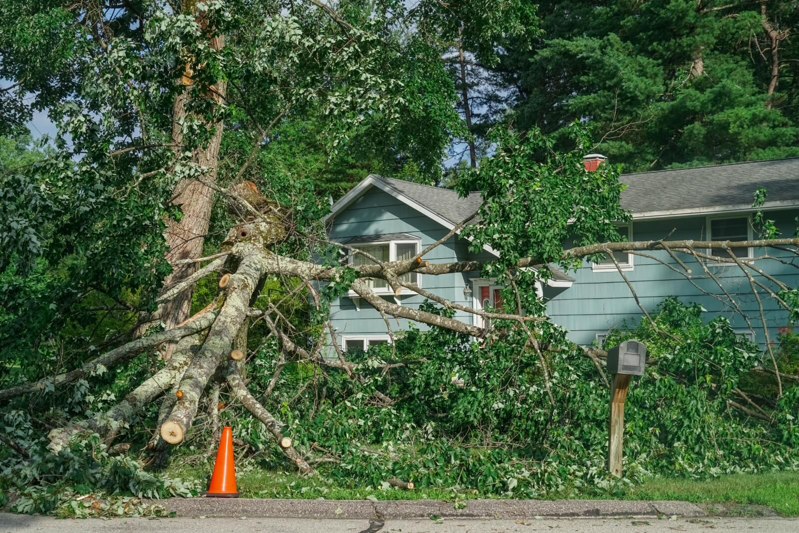 5 Common Types of Property Damage Claims and How to Handle Them