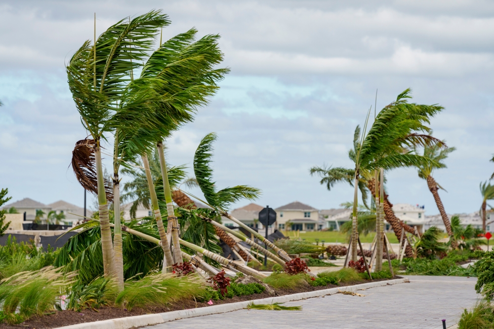 12 Tips for Staying Safe in Hurricane Season: Essential Preparation Tips